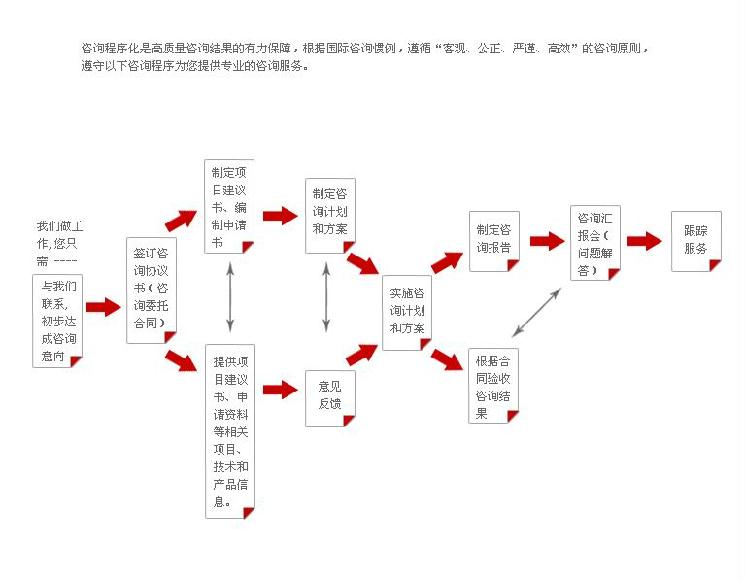 咨询流程 技术咨询